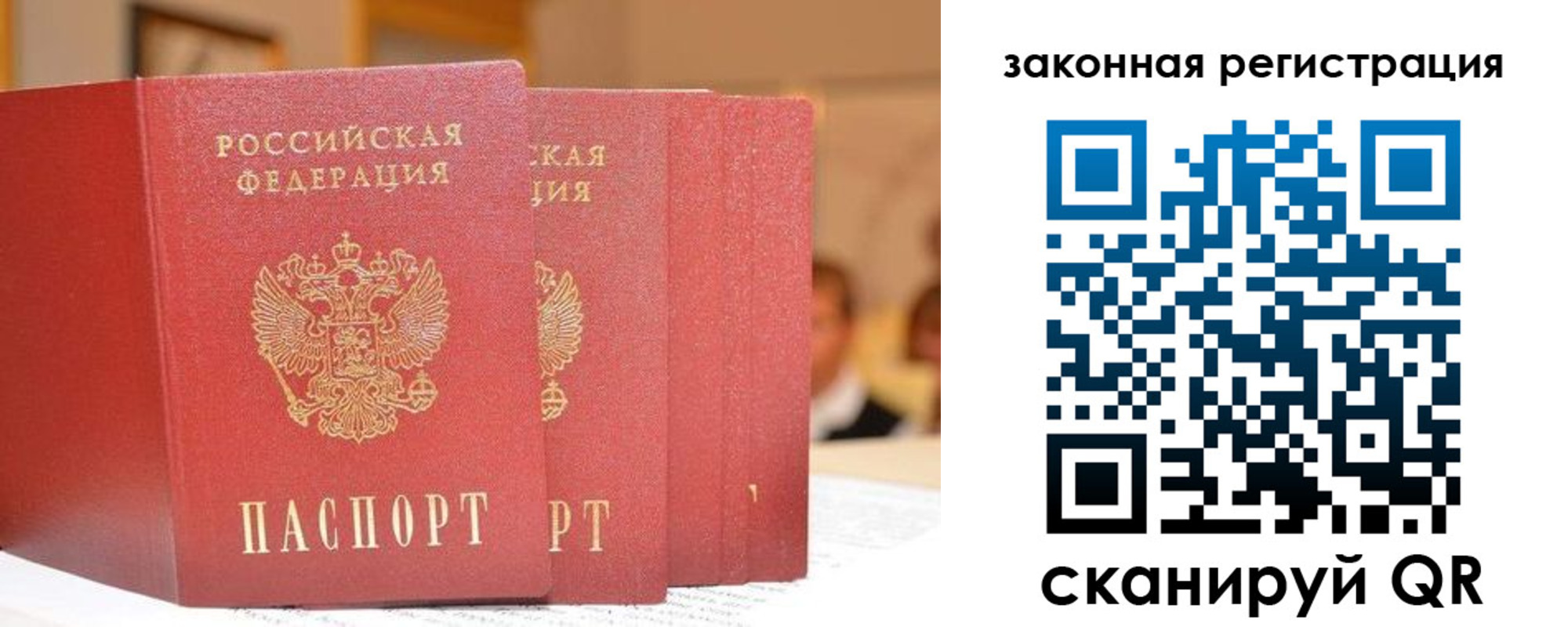 прописка поиск в Оленегорске